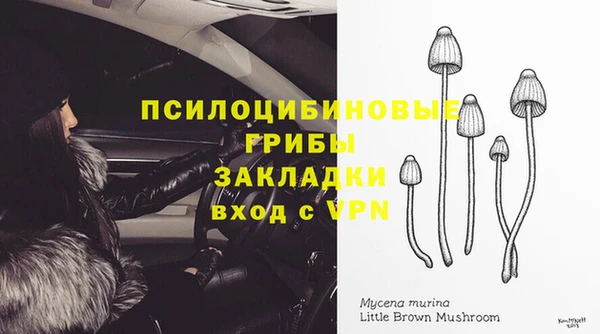 экстази Корсаков