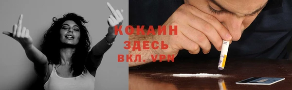 мет Козловка