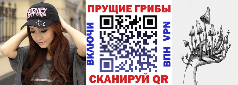 Галлюциногенные грибы мицелий  Купить  Донской 